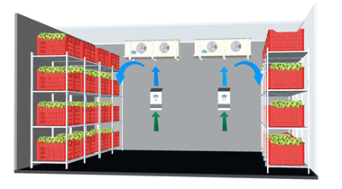 Ethylene Absorber Device Installation | Vita Guard